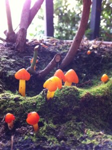 y en auras pour tout le monde