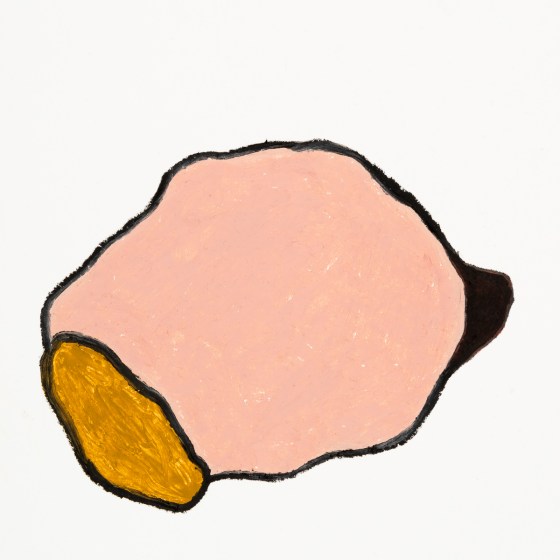 pastel gras 20x20 2016-45