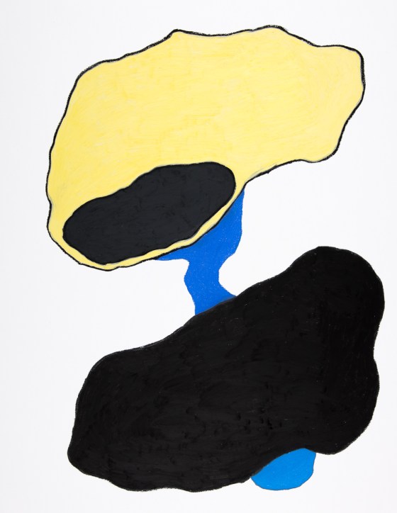 pastel gras 65x50 2016-5