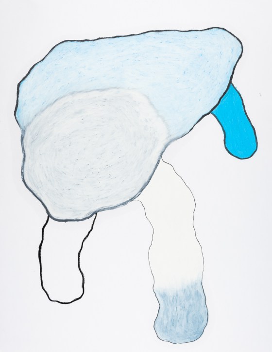 pastel gras 65x50 2016-52