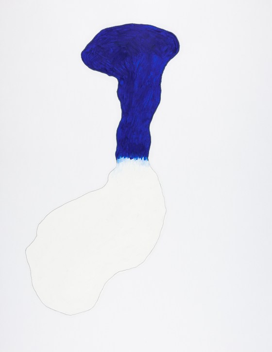 pastel gras 65x50 2016-58