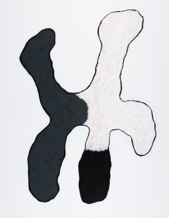 pastel gras 65x50 2016-59