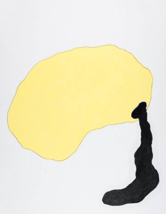 pastel gras 65x50 2016-61