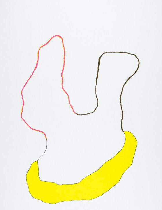 pastel gras 65x50 2016-63