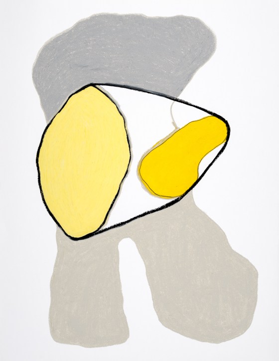 pastel gras 65x50  V